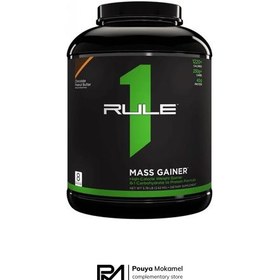 تصویر مس گینر رول وان 