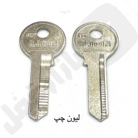 تصویر لیون چپ ایرانی 