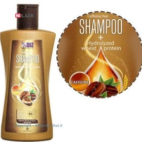 تصویر شامپو کافئین بیز وزن 300 گرم ا BIZ Caffeine Shampoo BIZ Caffeine Shampoo