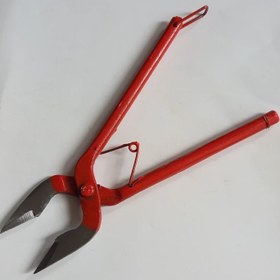 تصویر قندشکن انبری زنجان 