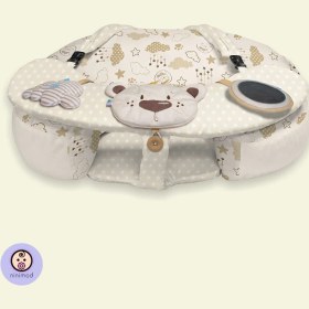 تصویر بالش C طرح TEDDY BEAR رز برن Rose Born Teddy Bear Pillow C Design