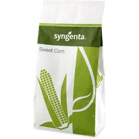 تصویر بذر ذرت اکسنچویت سینجنتا 