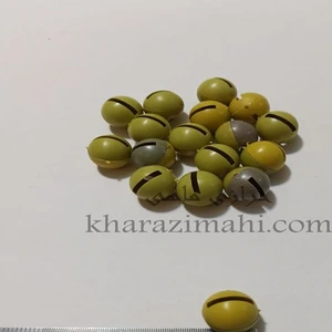 تصویر فروشگاه خرازی ماهی