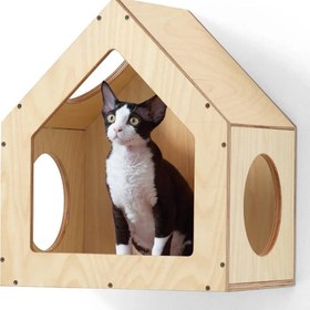 تصویر خانه گربه 