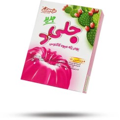 تصویر پودر ژله دراژه میوه کاکتوس 100 گرمی 