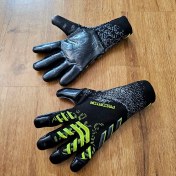 تصویر پردیتور مشکی 