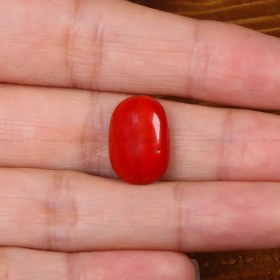 تصویر نگین مرجان کد 26877 