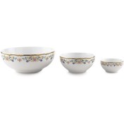 تصویر سرویس چینی زرین 6 نفره پیاله گلستان (13 پارچه) ا Zarin Iran ItaliaF Golestan 13 Pieces Porcelain Bowl Set Zarin Iran ItaliaF Golestan 13 Pieces Porcelain Bowl Set