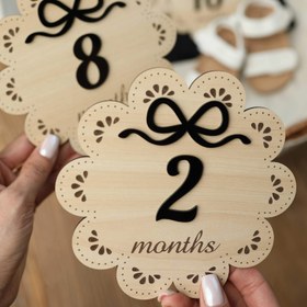 تصویر دیسک پاپیون پلکسی مشکی 