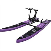 تصویر دوچرخه آبی بادی Plankzone رنگ بنفش مشکی 