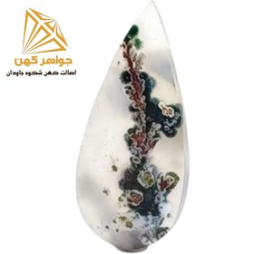 تصویر نگین شجر بهاری (کد۷۲) 