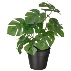 تصویر گیاه مصنوعی برگ انجیری ایکیا مدل IKEA FEJKA 