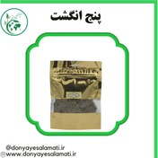 تصویر پنج انگشت 