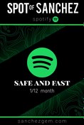 تصویر اسپاتیفای پرمیوم - ۳ / ۶ کاربره Spotify Premium