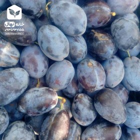 تصویر آلو بخاراسیاه 