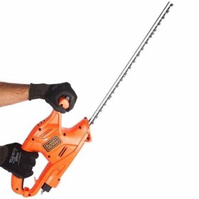 تصویر شمشاد زن GT4245 