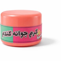 تصویر کرم جوانه گندم نوند 