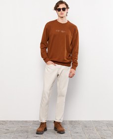 تصویر سویشرت مردانه ال سی وایکیکی کژوال W2CQ91Z8 - PRA | LCW Casual 