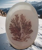 تصویر نگین عقیق شجر کد ۷۰۰ 