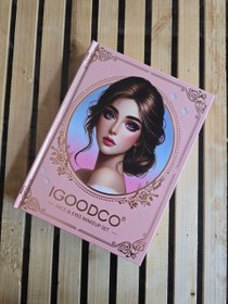 تصویر پالت سایه ۲ صفحه ای طرح کلاسیک برند آیگودکو 