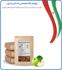 تصویر میوه سیب خشک فله 