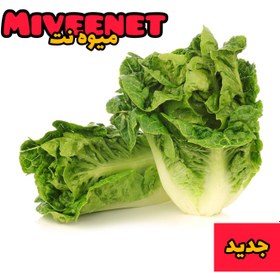 تصویر بیبی کاهو میکس پاک شده ۶۰۰+ گرمی بسته بندی میوه نت Baby lettuce mix +600 Gr fresh packing miveenet