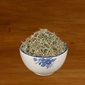 تصویر خارشتر گیاه 