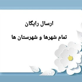 تصویر مانتو بارداری و شیردهی کد 6 اپلیکه دوزی جنس ابرو بادی 