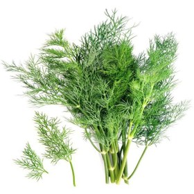 تصویر رازیانه یک کیلو 