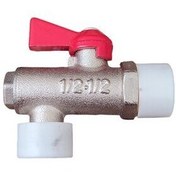 تصویر شیر پیسوار (BTS) 