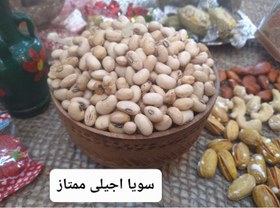 تصویر سویا اجیلی 