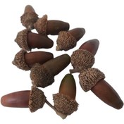 تصویر میوه تزیینی مدل بلوط ممتاز (پک 10 عددی) - قهوه ای 