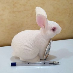 تصویر فیگور حیوانات گوشتی وارداتی طرح خرگوش 