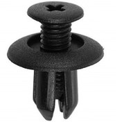 تصویر پیچ و خار شلگیر 