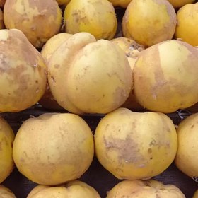 تصویر میوه به شیرین اردبیل 