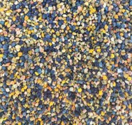 تصویر گرده گل 