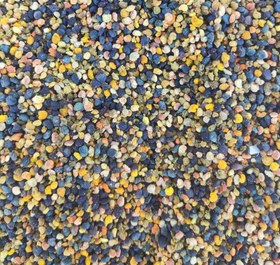 تصویر گرده گل 