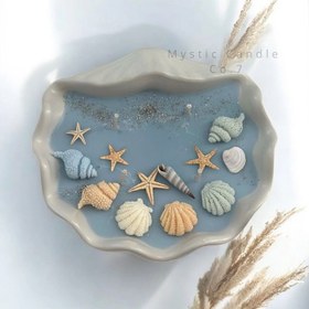 تصویر شمع صدف بزرگ رنگی 