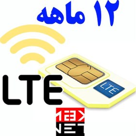 تصویر سیم کارت TD-Lte ایرانسل بهمراه اینترنت ۱۲ماهه مکس نت 