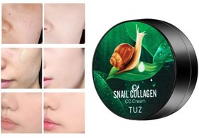 تصویر کوشن حلزون - 02 CC cream