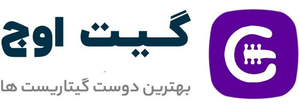 تصویر گیتار سخیا G2plus قهوه ای 