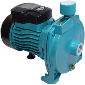 تصویر پمپ آب یک اسب بشقابی سبز راین (بالکیت) 