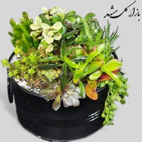 تصویر دیش گاردن ساکولنت گلدان فلزی 