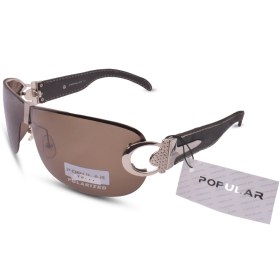 تصویر PEYVASTE.P6114 