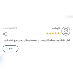 تصویر ست سرویس بهداشتی مدل زاپ برند آذین ست - رنگ نقره ای کامل - جنس رزین درجه یک 