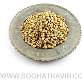 تصویر لوبیا جیرفتی لوبیا جیرفتی سرت شده