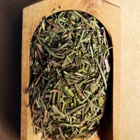 تصویر رزماری 