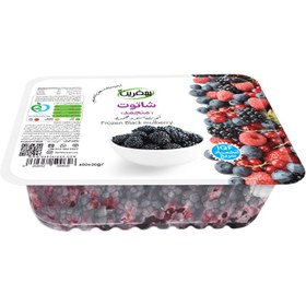 تصویر توت أسود بهفرین 