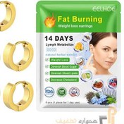 تصویر گوشواره کاهش اشتها وزن مدل Fat Burning ایلهو EELHOE 