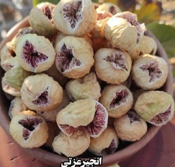 تصویر فوق پرک 